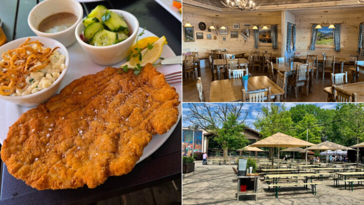 13 North Carolina Restaurants Making Schnitzel The Traditional Way