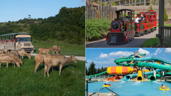 13 Ohio Family Adventures Worth Planning Around This June