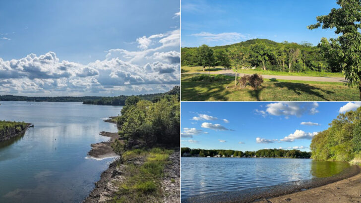 13 Ohio State Parks Where Early Summer Brings Beautiful Scenery And Wildlife