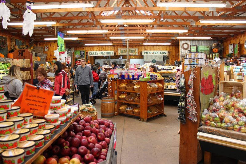 Linvilla Orchards - Media, Delaware County