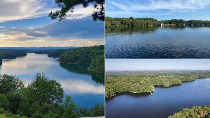 13 Virginia Lakes That Stand Out For Their Size And Natural Beauty
