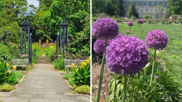 14 Botanical Gardens In Pennsylvania Worth Visiting For A Calm Weekend Escape