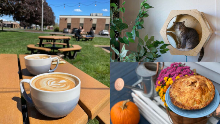 14 Connecticut Cafes That Make Coffee Runs Better For Pet Owners