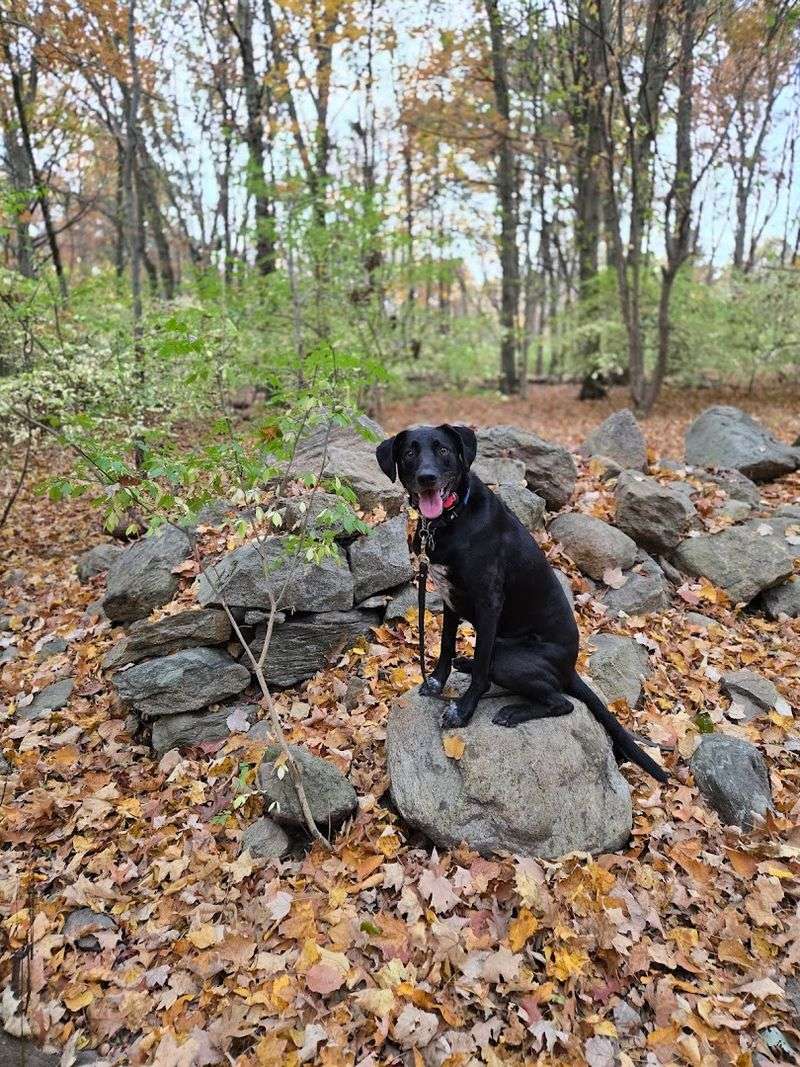 Cranbury Park