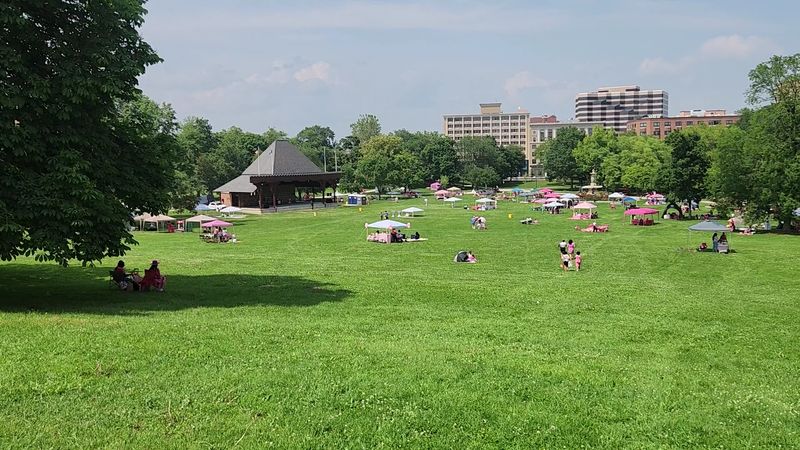 Bushnell Park