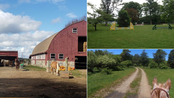 14 Connecticut Ranches Perfect For Families Looking To Spend More Time Outdoors
