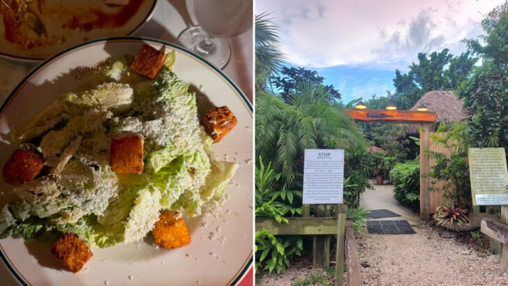 14 Florida Caesar Salad Spots That Pair Perfectly With Summer Dining