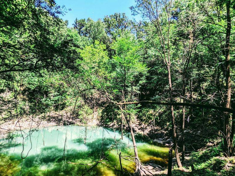 Devil's Millhopper Geological State Park