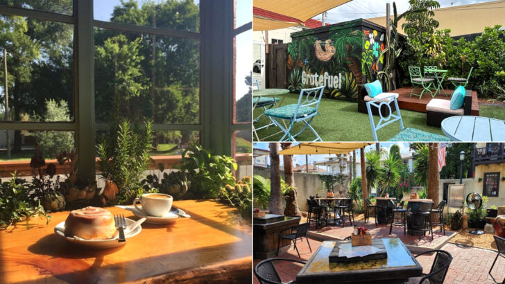 14 Florida Pet-Friendly Cafes With Patios Made For You And Your Pup