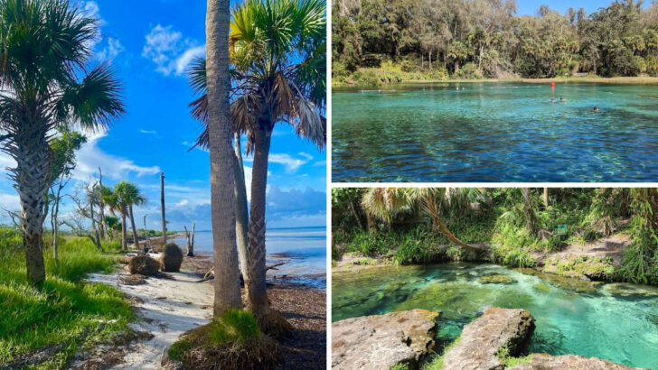 14 Florida Places That Make Hot Summer Days Much More Enjoyable