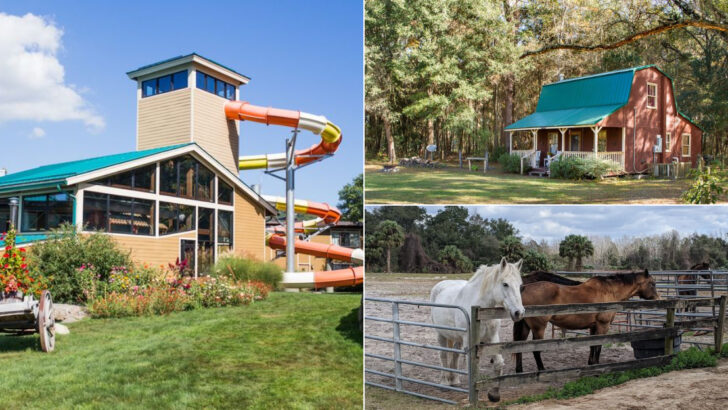 14 Florida Ranches Perfect For Families Looking For Outdoor Adventures