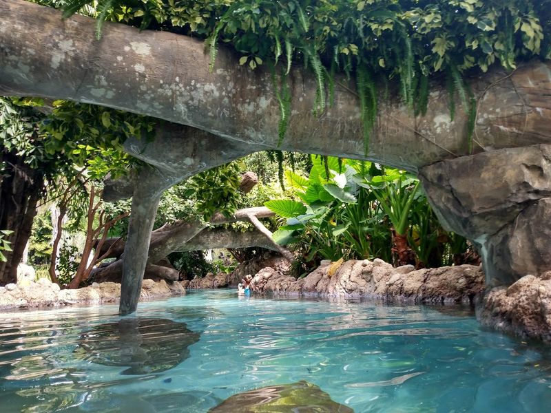 Discovery Cove - Orlando, Florida