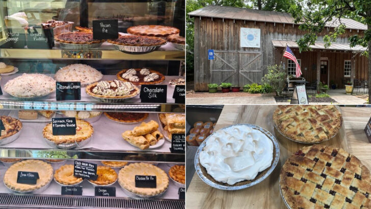 14 Georgia Pies That Taste Like They Came Straight From Grandma’s Kitchen