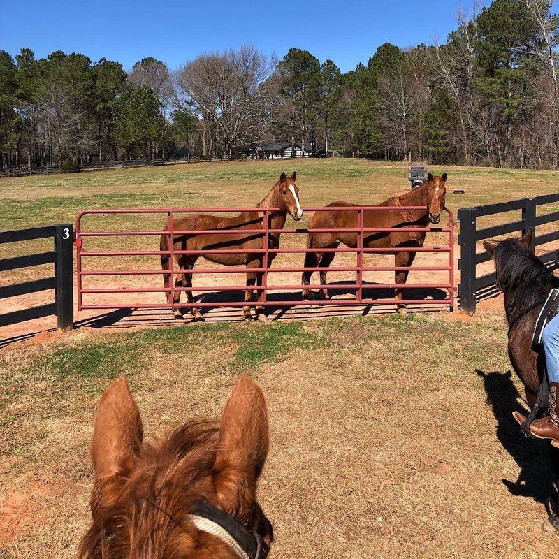 Callidora Ranch — Madison, Georgia