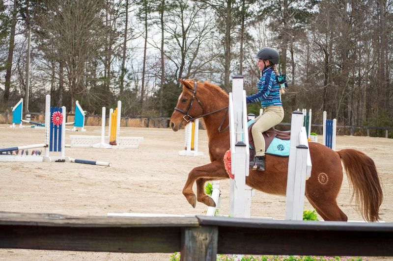 Sawtooth Ranch — Covington, Georgia