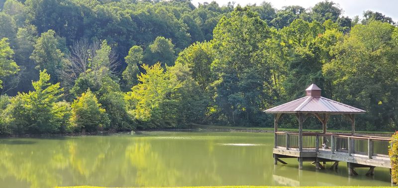 Chestnut Mountain Ranch — Morganton, Georgia