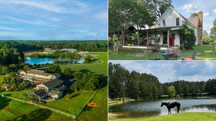 14 Georgia Ranches That Make Perfect Escapes From Busy City Living