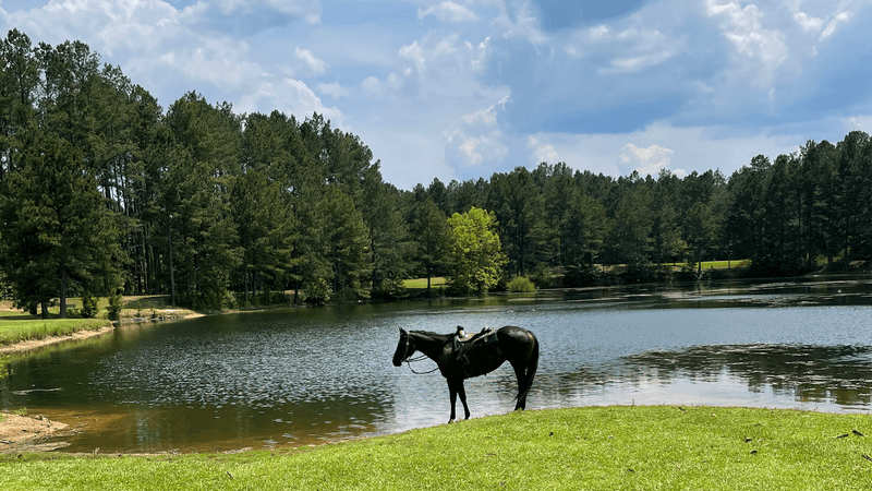 Rolling Hills Horse Ranch — Atlanta, Georgia