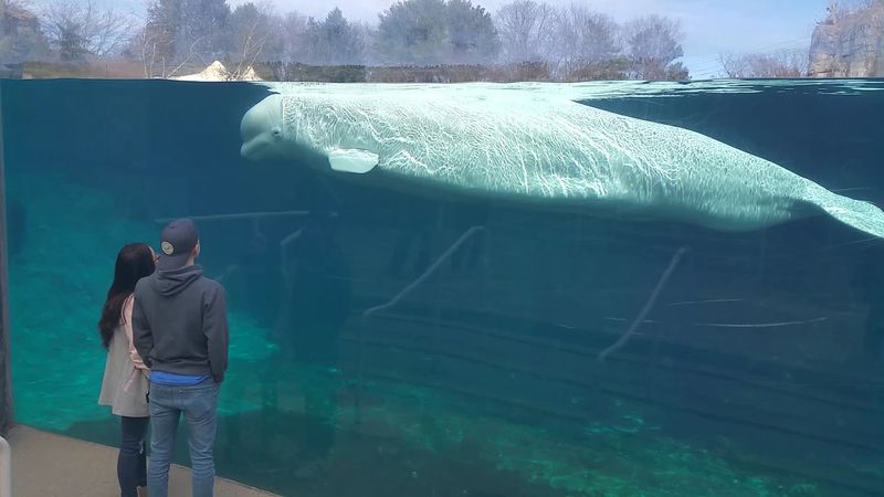 Mystic Aquarium