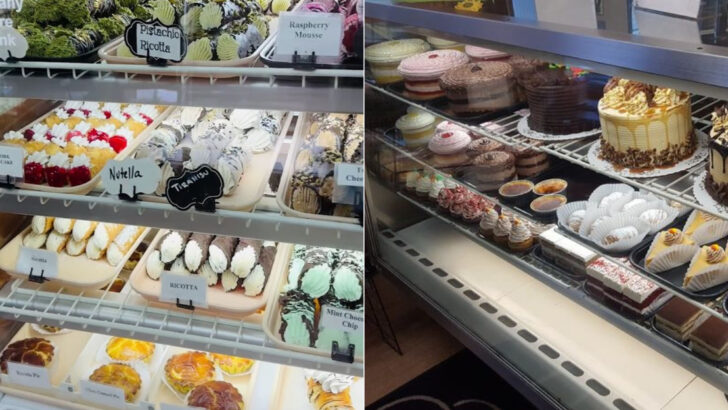 14 Massachusetts Bakeries Making Lemon Bars That Taste Like Homemade Perfection