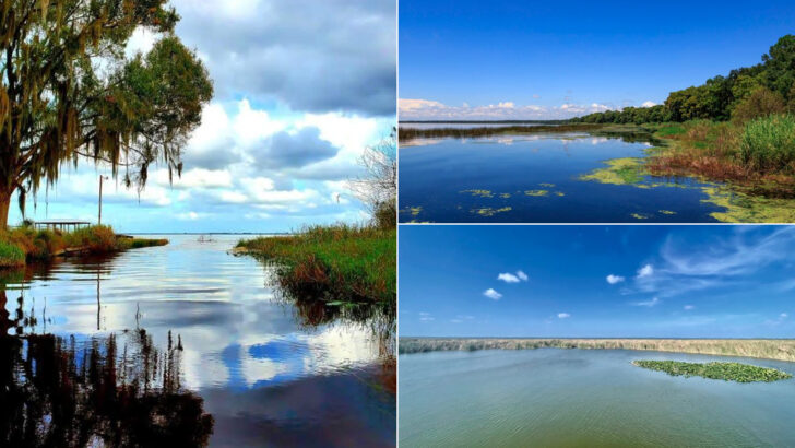 14 Massive Lakes In Florida That Offer Some Of The State&rsquo;s Best Outdoor Experiences