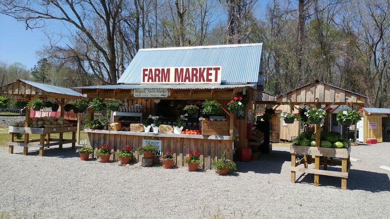 Moyock Farm Market
