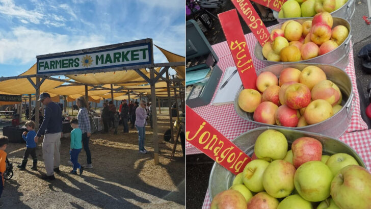 14 North Carolina Farmers Markets Packed With Deals, Fresh Food, And Local Charm