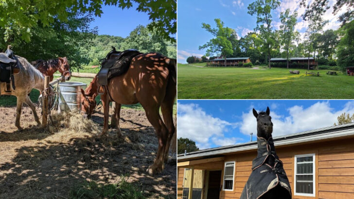 14 Ohio Ranches That Feel Like Hidden Escapes From Modern Life