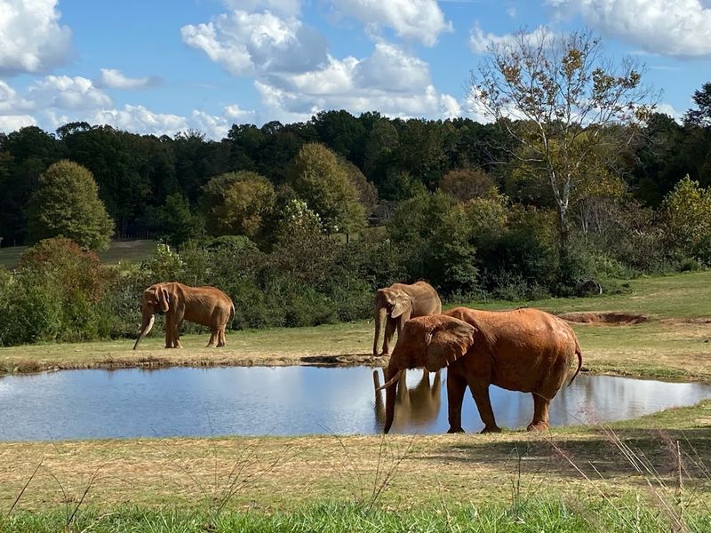 North Carolina Zoo - Asheboro, Randolph County