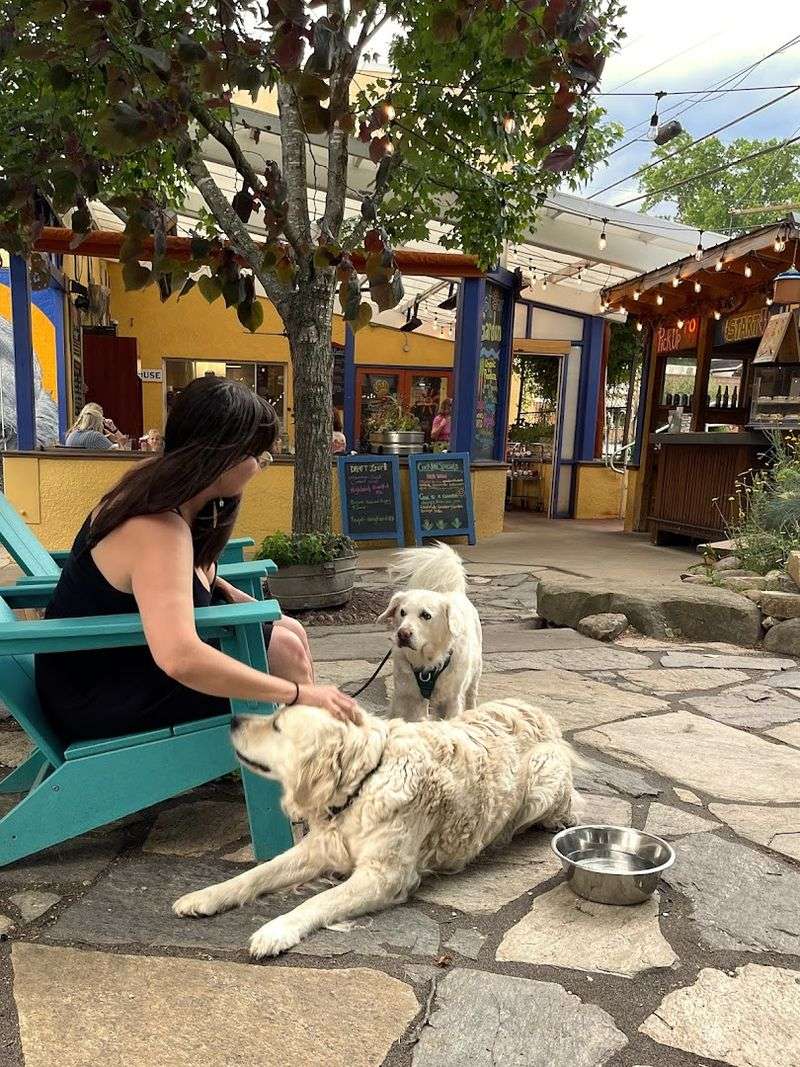Sunny Point Caf&eacute;