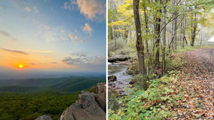 14 Virginia Hiking Trails That Keep The Journey Comfortable And Scenic