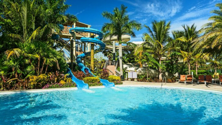 14 Waterpark Resorts In Florida Perfect For Family Trips And Summer Escapes