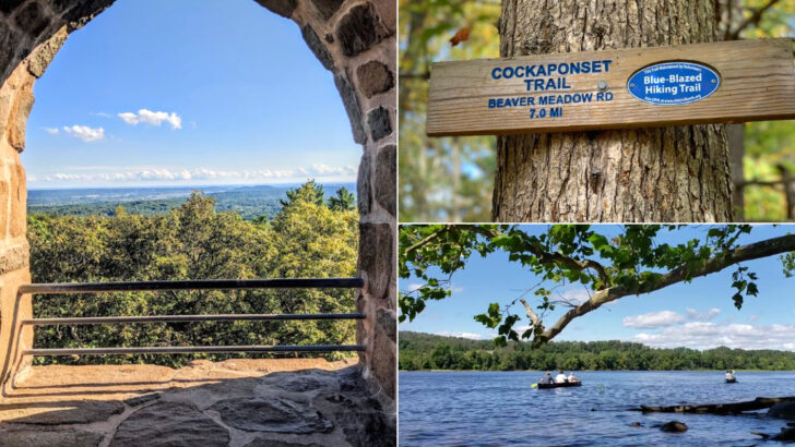 15 Connecticut Parks That Deliver Big Adventures For Little Explorers