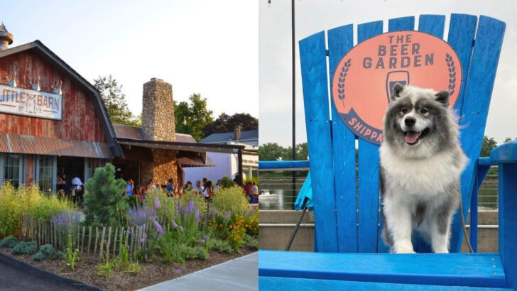 15 Connecticut Pet-Friendly Dining Destinations That Make Every Visit Enjoyable