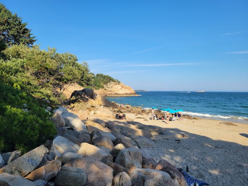 Singing Beach