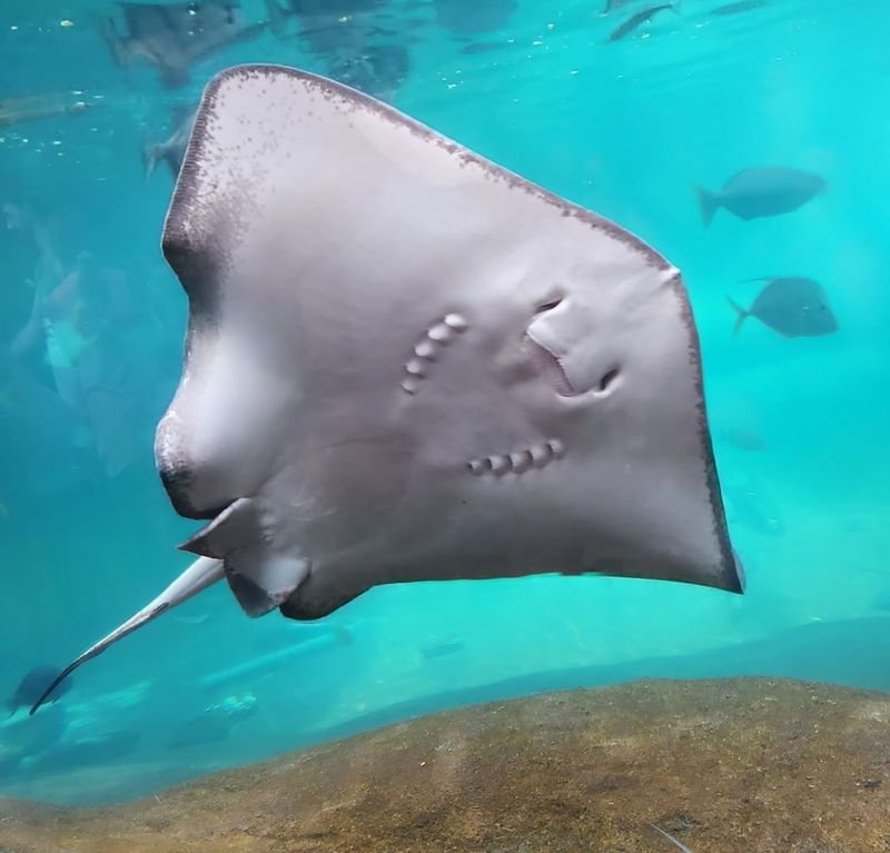 Columbus Zoo and Aquarium