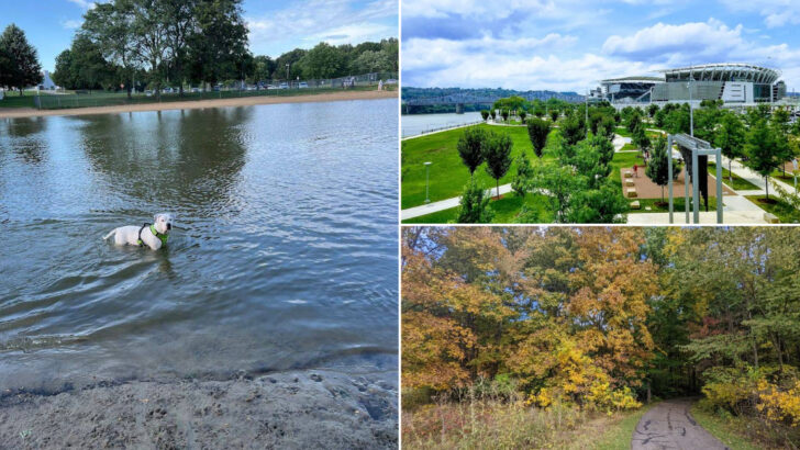 15 Ohio Places That Turn Ordinary Outings Into Dog-Friendly Adventures
