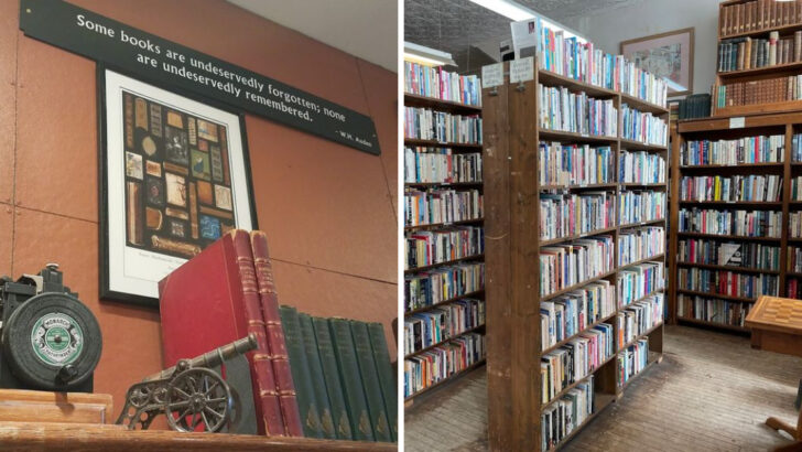 15 Second Hand Book Shops In Michigan Where Book Lovers Can Explore For Hours