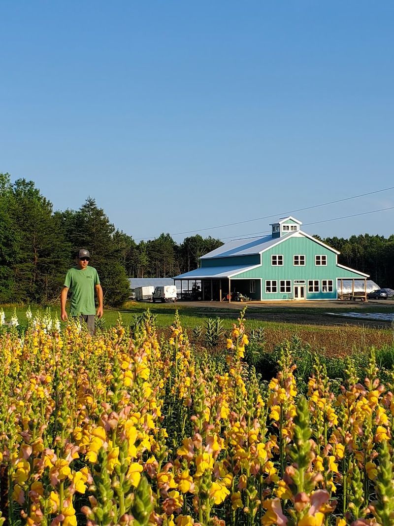 Wind Haven Farm