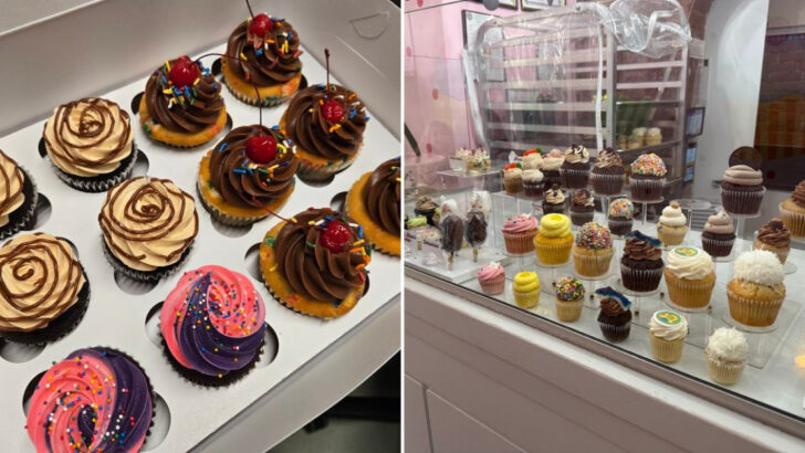 13 Cupcake Spots Across Massachusetts Perfect For Coffee Pairings And Desserts