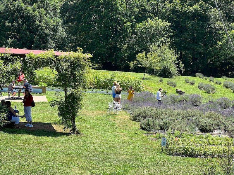 Red Oak Lavender Farm