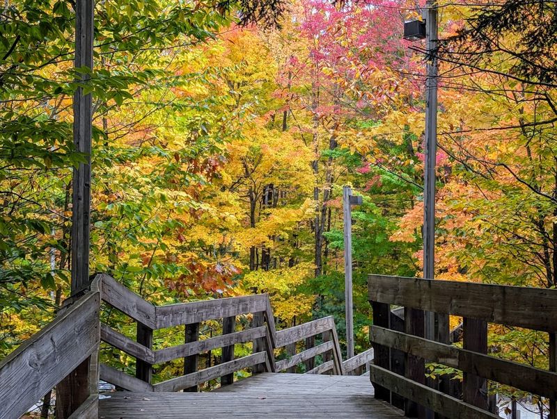 Trails That Invite You To Wander Longer