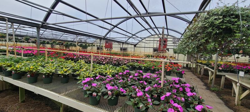 Why The Greenhouse Layout Feels So Immersive