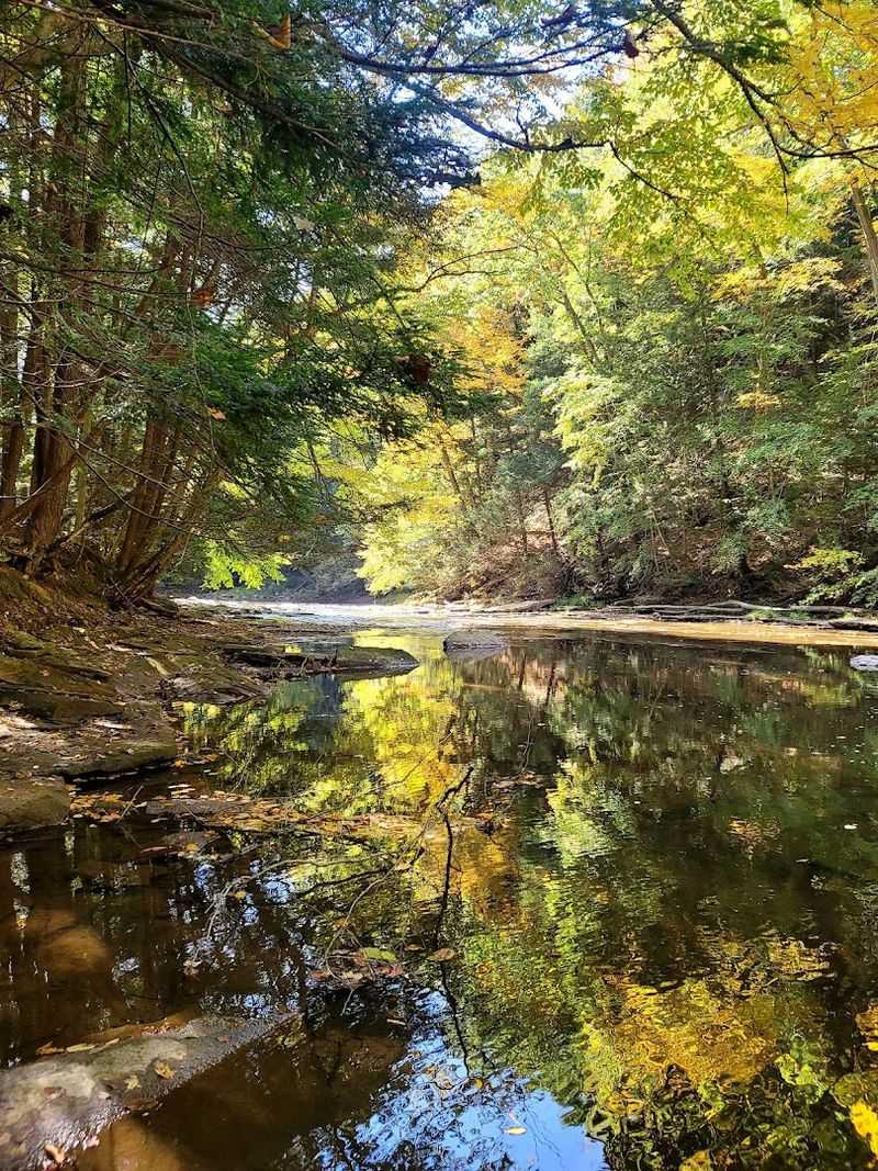 Where the Creek Narrows Between Stone