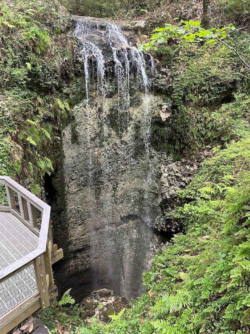 The Florida waterfall nobody expects
