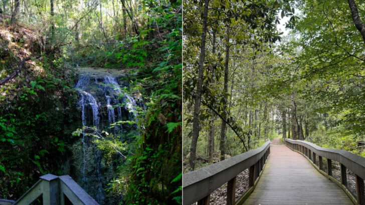 A Hidden Waterfall In Florida Makes This Chipley Park Feel Almost Unreal