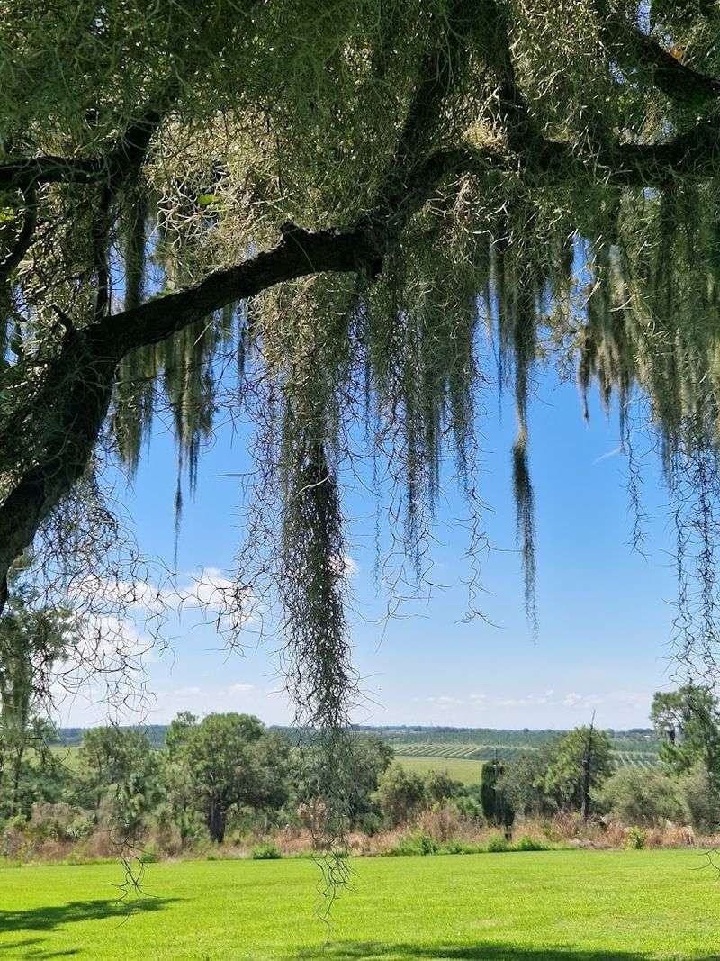 More Than Just a Garden