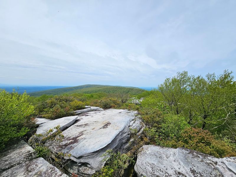 The Challenging Climb to the Summit