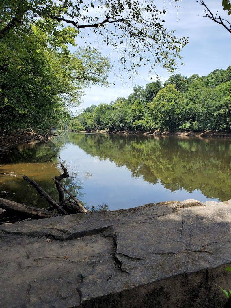 A Hidden Gem Along the Cape Fear River