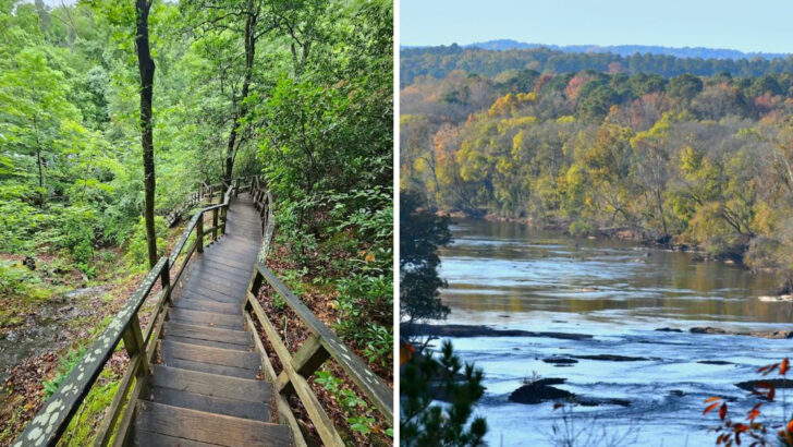A Nature-Filled Day Trip With Water Views And Shaded Woodland Trails In North Carolina
